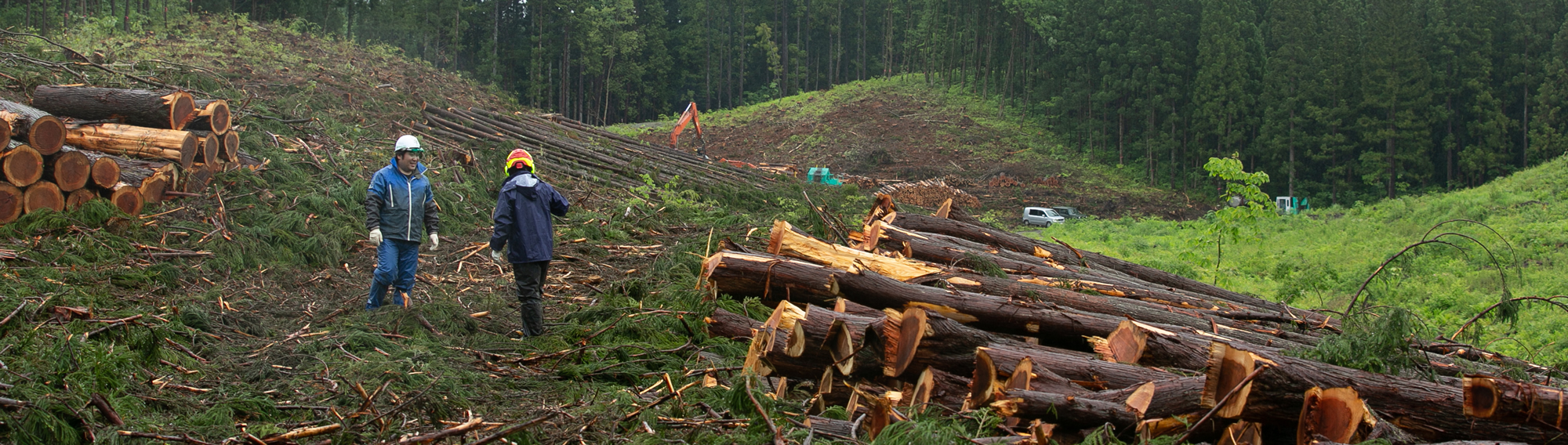 先輩の声 #1 – 東北ウッドカッター株式会社 | 山形県新庄市林業・木材産業
